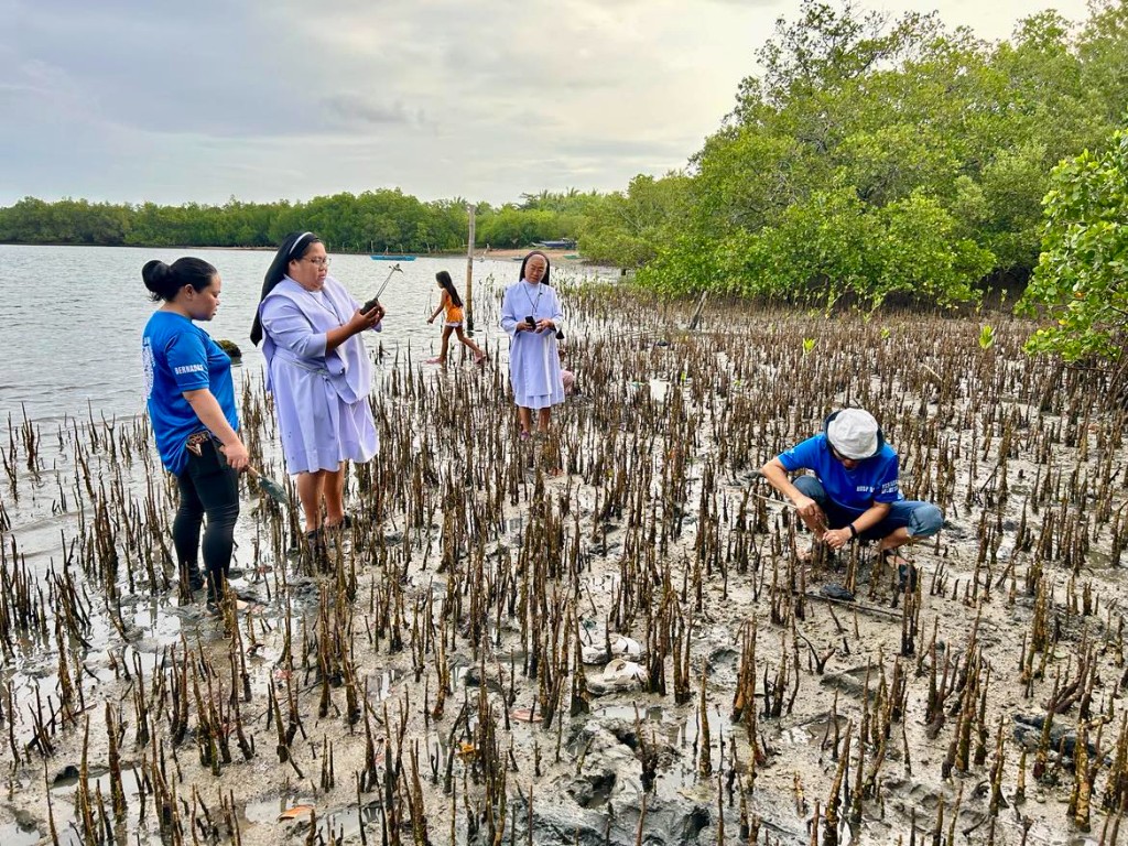 HRSP gallery image 3